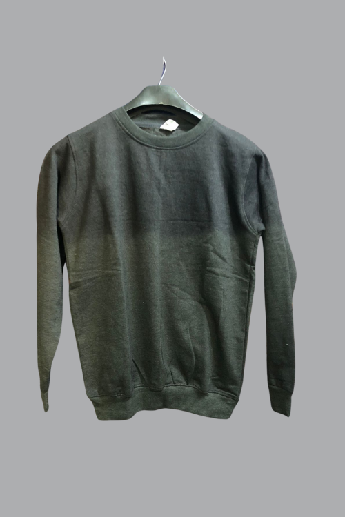 Sweat shirt Plain Matte Gray